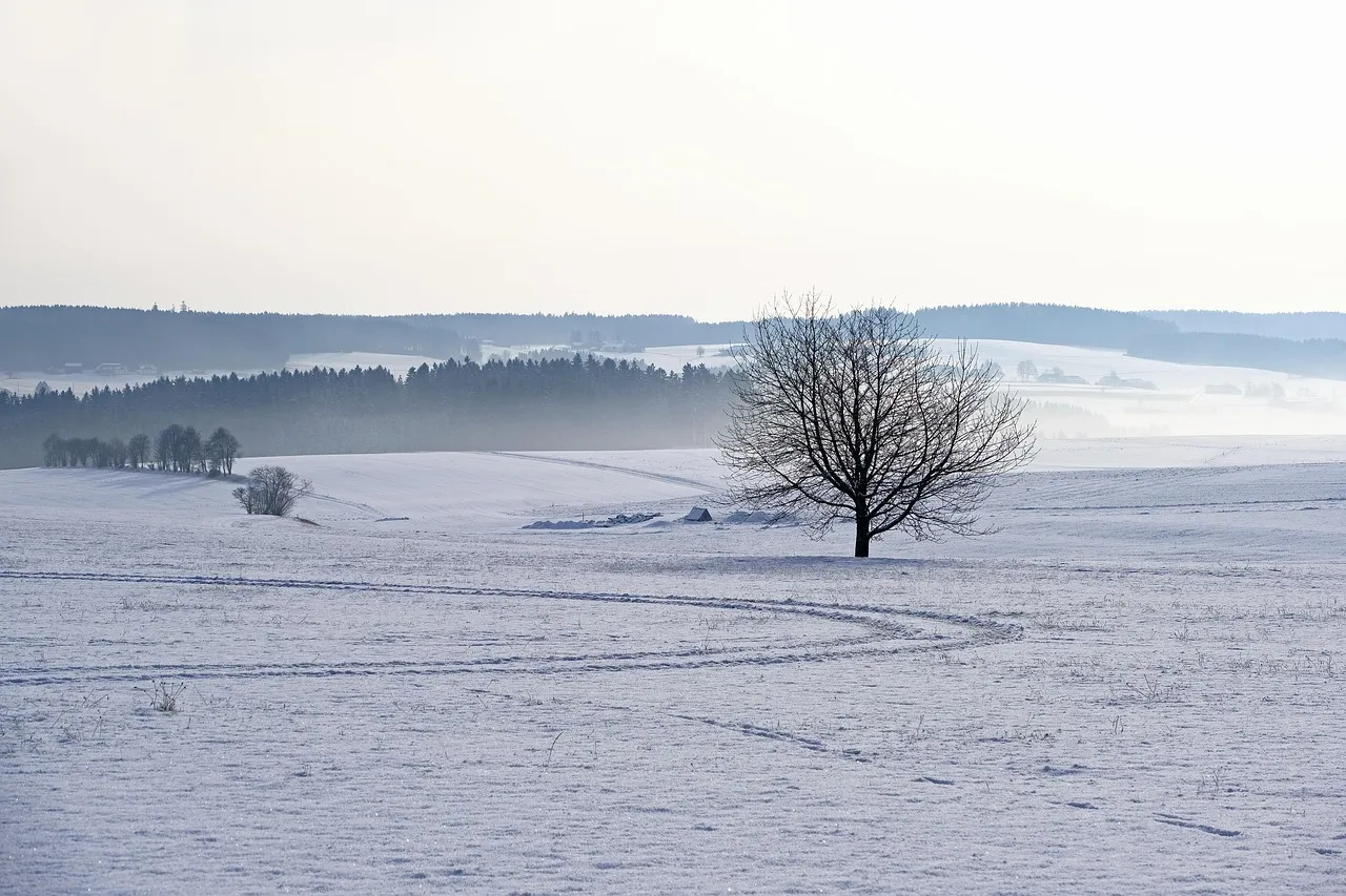 Winter_is_coming