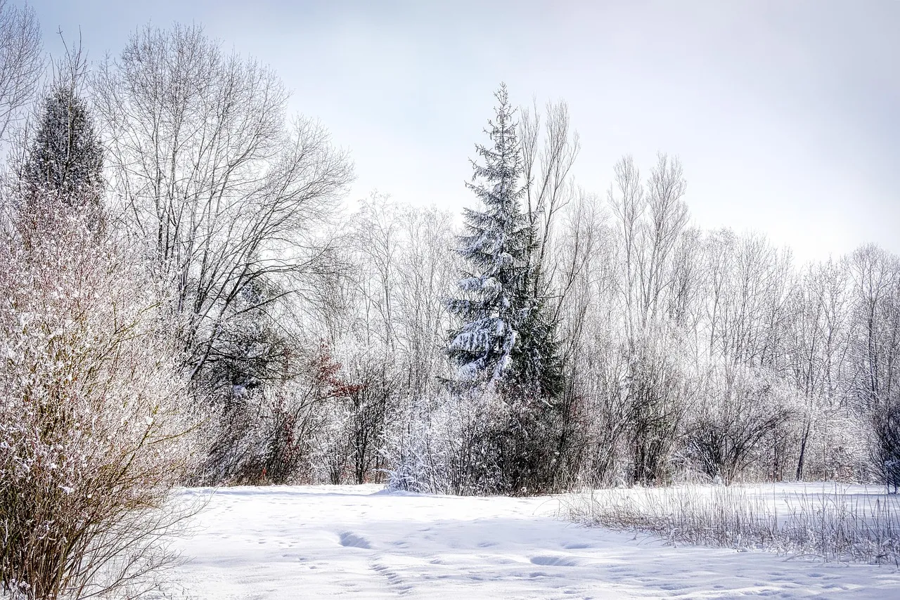 Winter_is_coming