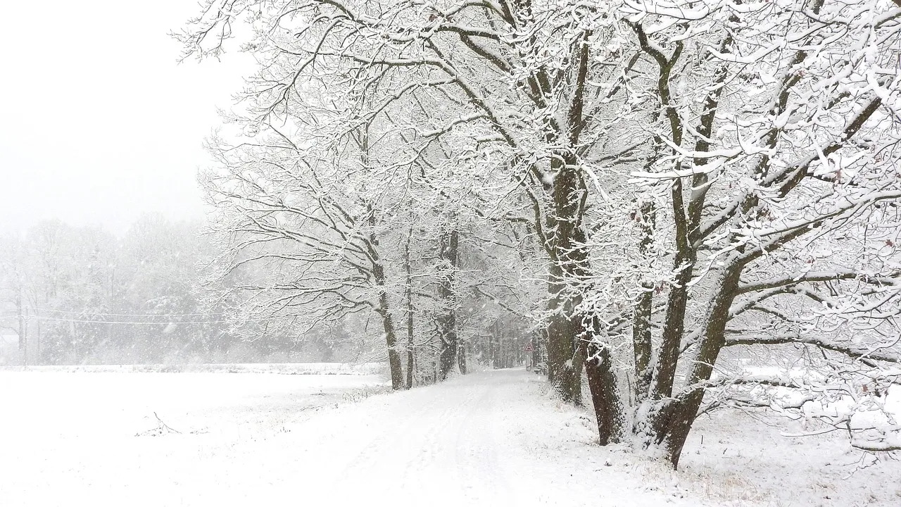 Winter_is_coming
